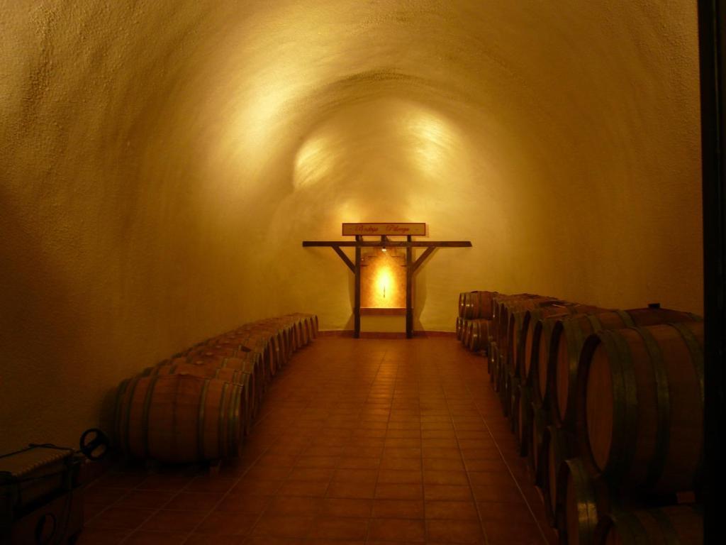 科蒂霍匹龙格酒店 莫纳奇尔 外观 照片